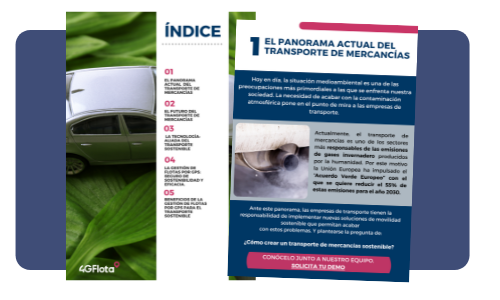 CTA 4GFLOTA  (2)